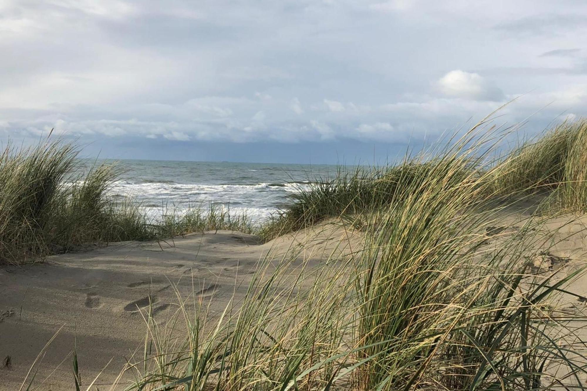 Shell 61 Apartment Zandvoort Bagian luar foto